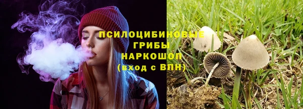 метадон Лагань