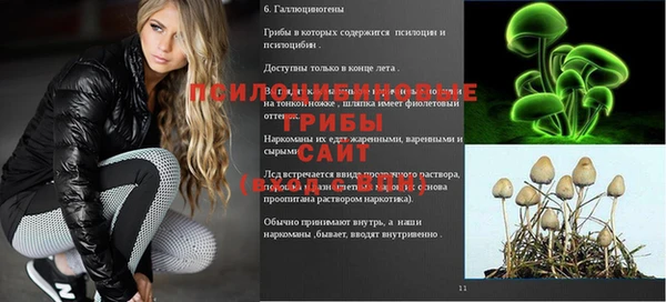 метадон Лагань